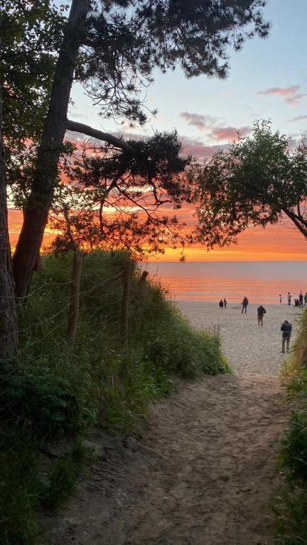 Zejście na plażę przez wydmę o zachodzie słońca